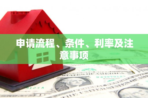 杂多申请流程、条件、利率及注意事项