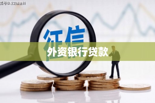 杂多外资银行贷款