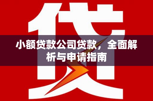 杂多小额贷款公司贷款，全面解析与申请指南