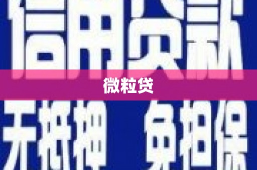 杂多微粒贷