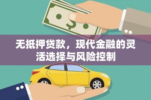 杂多无抵押贷款，现代金融的灵活选择与风险控制