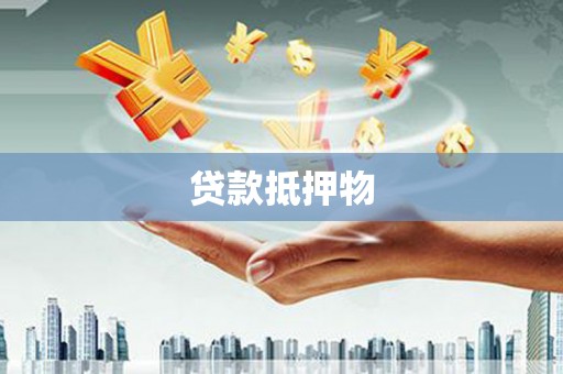 杂多贷款抵押物