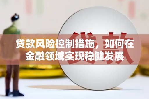 杂多贷款风险控制措施，如何在金融领域实现稳健发展