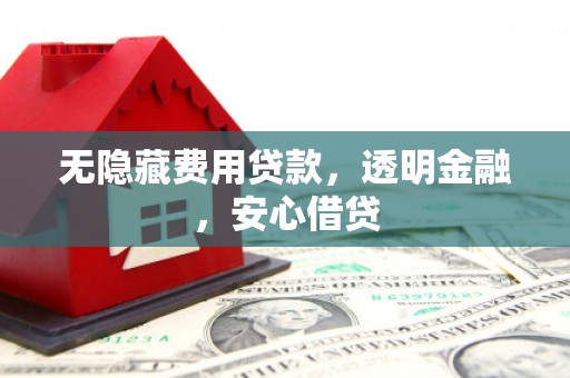 杂多无隐藏费用贷款，透明金融，安心借贷