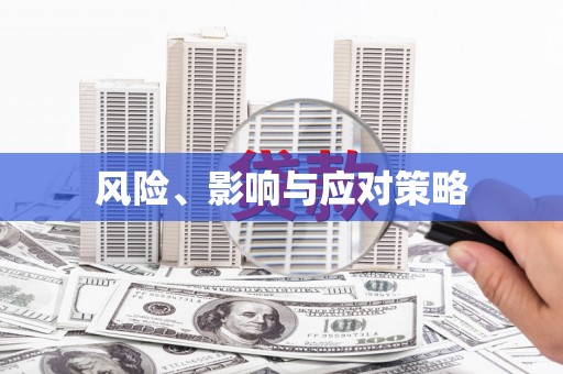 杂多风险、影响与应对策略