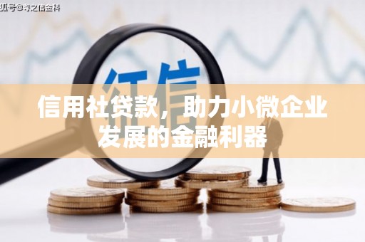 杂多信用社贷款，助力小微企业发展的金融利器