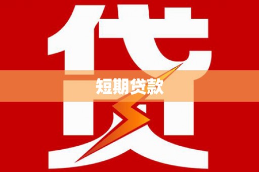 杂多短期贷款