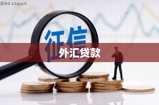 杂多外汇贷款