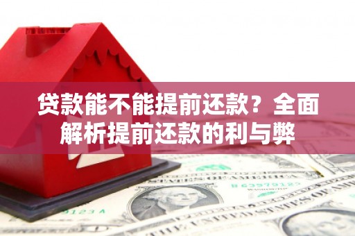杂多贷款能不能提前还款？全面解析提前还款的利与弊