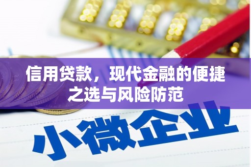 杂多信用贷款，现代金融的便捷之选与风险防范