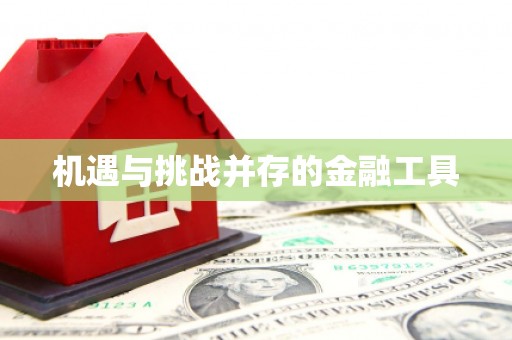 杂多机遇与挑战并存的金融工具