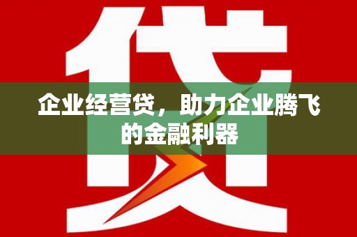 杂多企业经营贷，助力企业腾飞的金融利器
