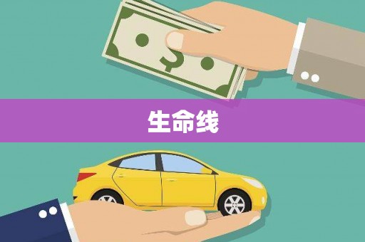 杂多生命线