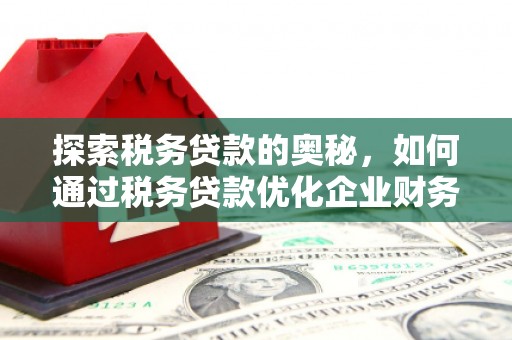 杂多探索税务贷款的奥秘，如何通过税务贷款优化企业财务