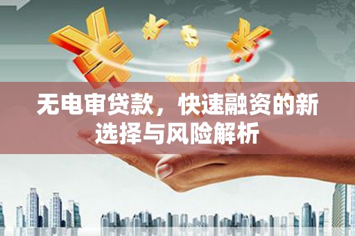 杂多无电审贷款，快速融资的新选择与风险解析