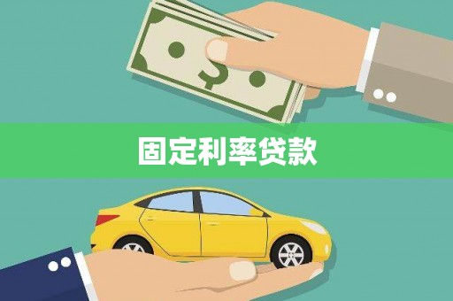 杂多固定利率贷款