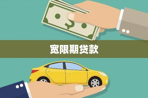 杂多宽限期贷款