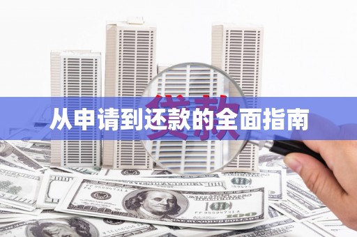 杂多从申请到还款的全面指南