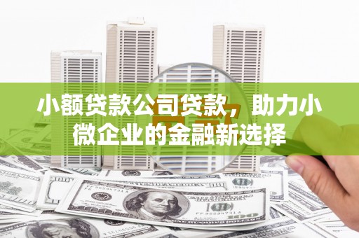 杂多小额贷款公司贷款，助力小微企业的金融新选择