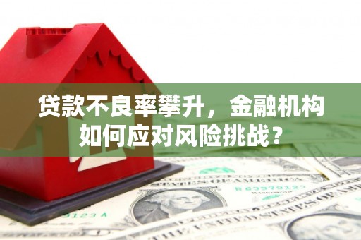 杂多贷款不良率攀升，金融机构如何应对风险挑战？