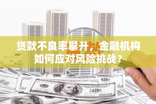 杂多贷款不良率攀升，金融机构如何应对风险挑战？