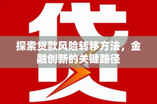杂多探索贷款风险转移方法，金融创新的关键路径