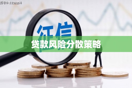 杂多贷款风险分散策略