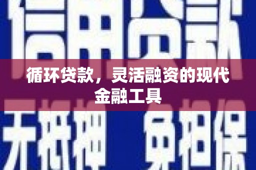 杂多循环贷款，灵活融资的现代金融工具