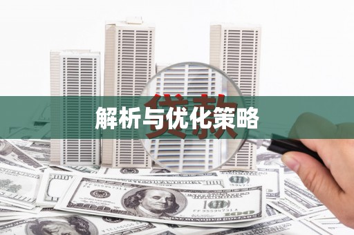 杂多解析与优化策略