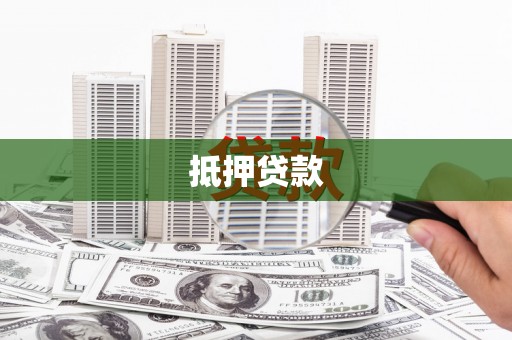 杂多抵押贷款