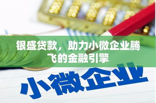 杂多银盛贷款，助力小微企业腾飞的金融引擎