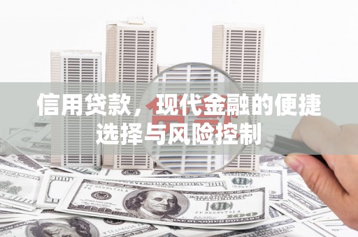 杂多信用贷款，现代金融的便捷选择与风险控制