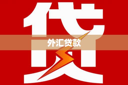 杂多外汇贷款