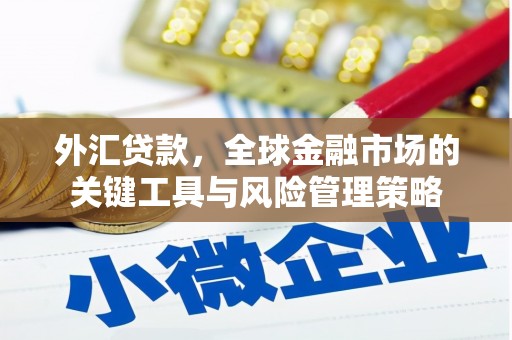 杂多外汇贷款，全球金融市场的关键工具与风险管理策略