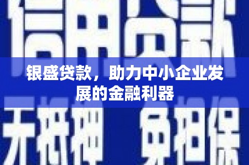 杂多银盛贷款，助力中小企业发展的金融利器