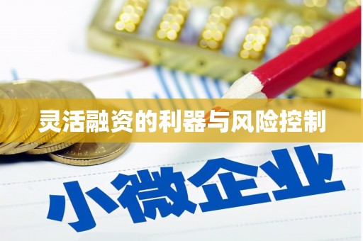 杂多灵活融资的利器与风险控制