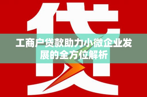 杂多工商户贷款助力小微企业发展的全方位解析