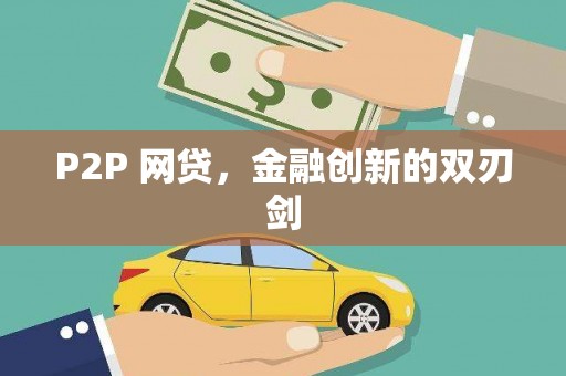 杂多P2P 网贷，金融创新的双刃剑