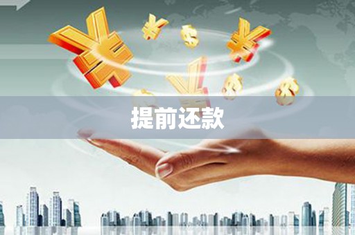 杂多提前还款