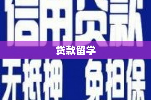 杂多贷款留学