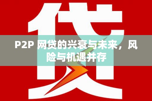 杂多P2P 网贷的兴衰与未来，风险与机遇并存