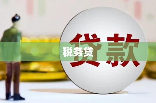 杂多税务贷