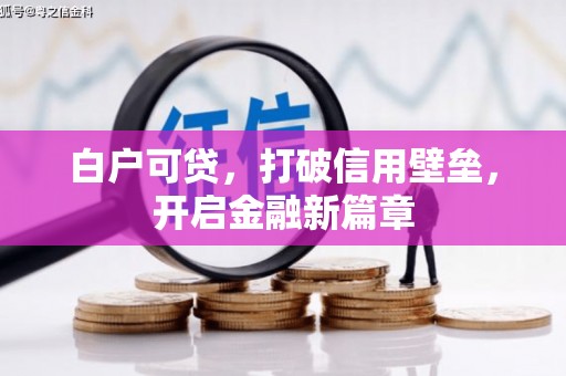 杂多白户可贷，打破信用壁垒，开启金融新篇章