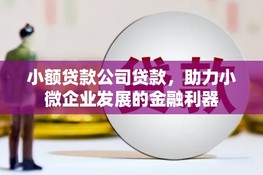 杂多小额贷款公司贷款，助力小微企业发展的金融利器