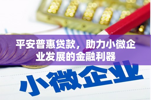 杂多平安普惠贷款，助力小微企业发展的金融利器