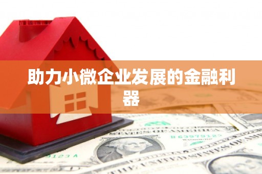 杂多助力小微企业发展的金融利器