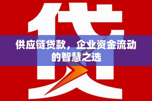 杂多供应链贷款，企业资金流动的智慧之选