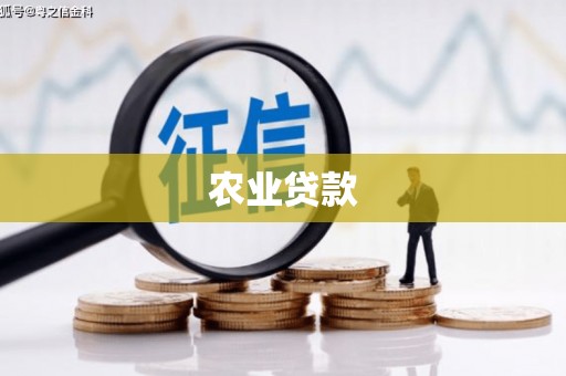 杂多农业贷款