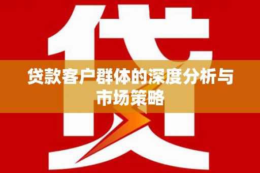 杂多贷款客户群体的深度分析与市场策略