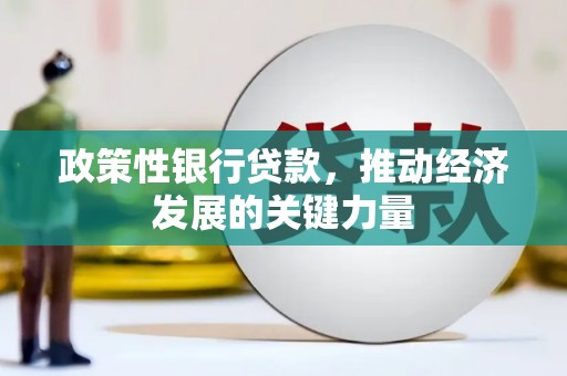 杂多政策性银行贷款，推动经济发展的关键力量